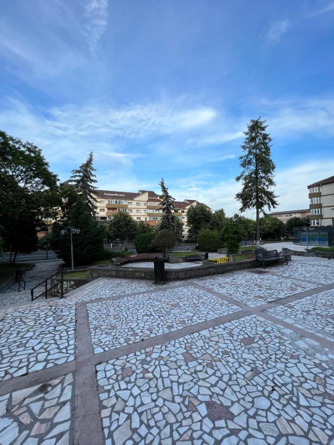 Apartament Centru Râmnicu Vâlcea Exterior foto